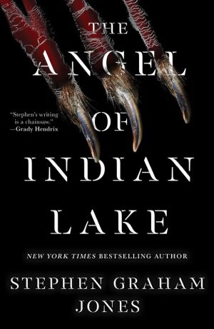 the angel of indian lake poster large