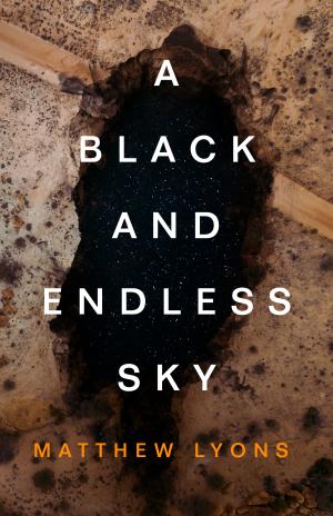 A Black And Endless Sky Poster Large