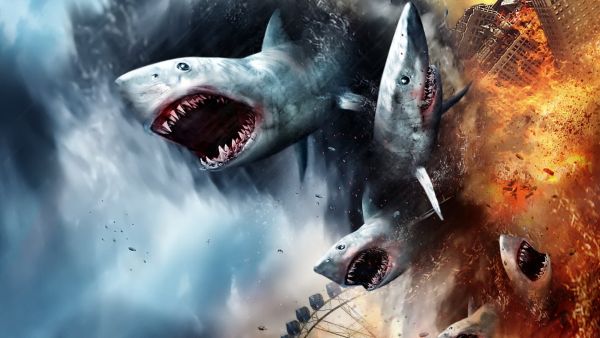 top 10 unconventional shark movies 01