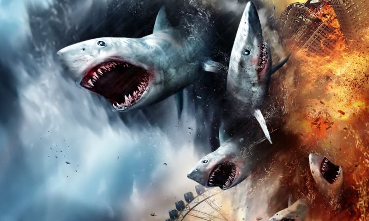 Top 10 Unconventional Shark Movies Main