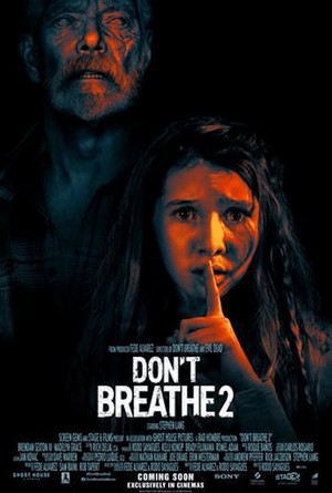 Dont Breathe 2 Poster Large
