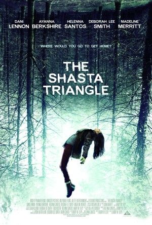 the shasta triangle poster large