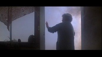 The Fog 11