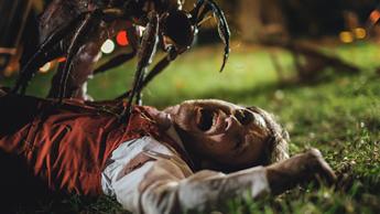 stung 03